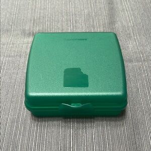 TUPPERWARE LUNCH SANDWICH KEEPER~BRAND NEW!!
